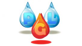 PGL Plumbing & Heating Services