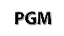 P G M Heating